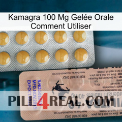Kamagra 100 Mg Gelée Orale Comment Utiliser 41